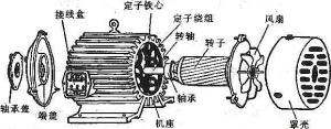 振動電機損壞的常見原因有哪些？